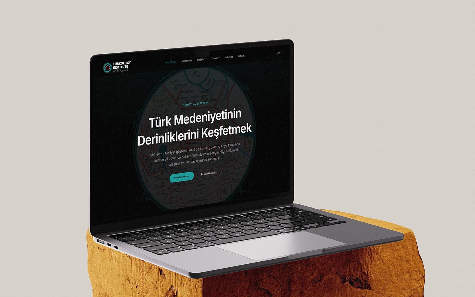 Turkology Enstitüsü